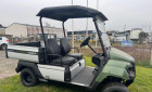 YAMAHA UMX E AC GREEN LEAF