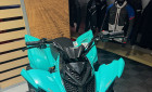 YAMAHA YFM 110 RAPTOR