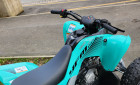 YAMAHA YFM 110 RAPTOR BLEU OU TURQUOISE
