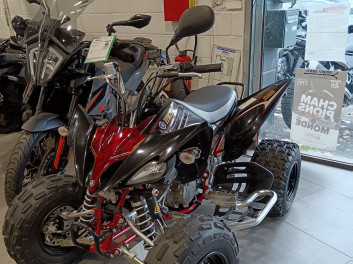 YAMAHA YFM 250 RAPTOR