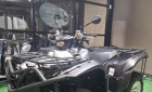 YAMAHA GRIZZLY 700 EPS