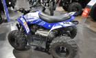 YAMAHA YFZ 50 RAPTOR