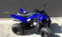 YAMAHA YFM 110 RAPTOR