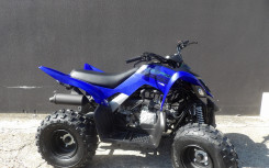 YAMAHA YFM 110 RAPTOR
