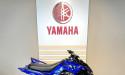 YAMAHA YFM110R