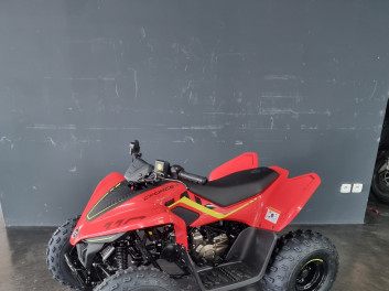 CF MOTO cforce 110 basic