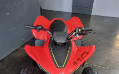 CF MOTO cforce 110 basic