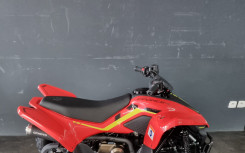 CF MOTO cforce 110 basic