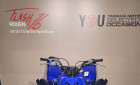 YAMAHA YFM 700 RAPTOR