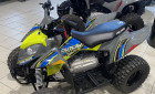 POLARIS OUTLAW 110
