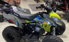 POLARIS OUTLAW 110