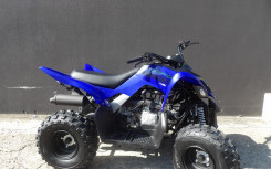 YAMAHA YFM RAPTOR 110