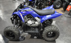 YAMAHA YFM 90 RAPTOR