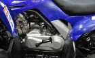 YAMAHA YFM 90 RAPTOR