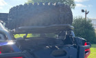 POLARIS RZR PRO R 