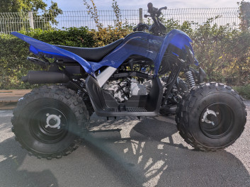 YAMAHA 110 RAPTOR