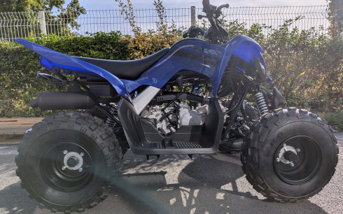 YAMAHA 110 RAPTOR