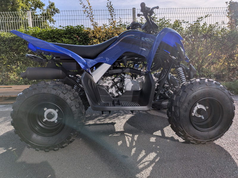 YAMAHA 110 RAPTOR