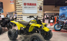 YAMAHA BANSHEE 350 2T non homologué