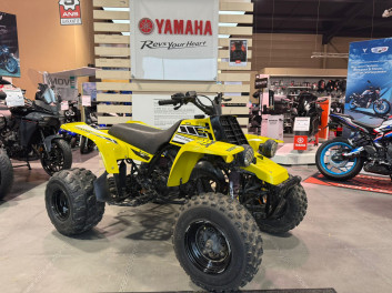 YAMAHA BANSHEE 350 2T non homologué