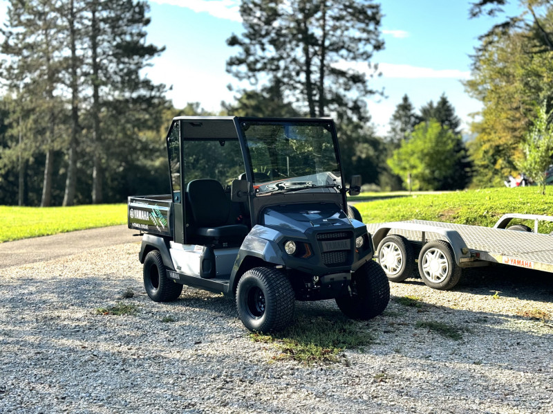 YAMAHA UMX E AC L