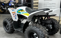 YAMAHA YFZ 50