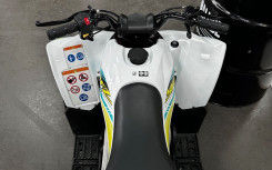 YAMAHA YFZ 50