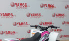 YAMAHA YFZ 50 RAPTOR