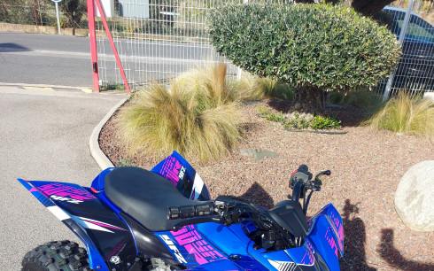 YAMAHA YFZ 50 RAPTOR