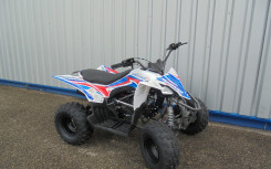 APOLLO MOTORS PREDATOR