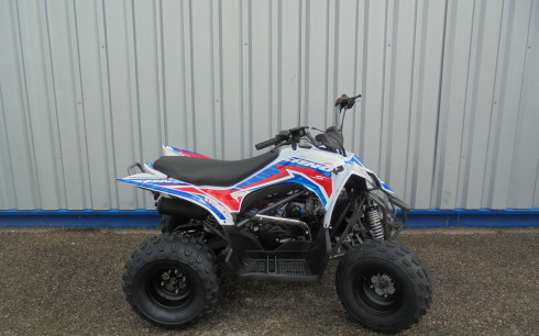 APOLLO MOTORS PREDATOR